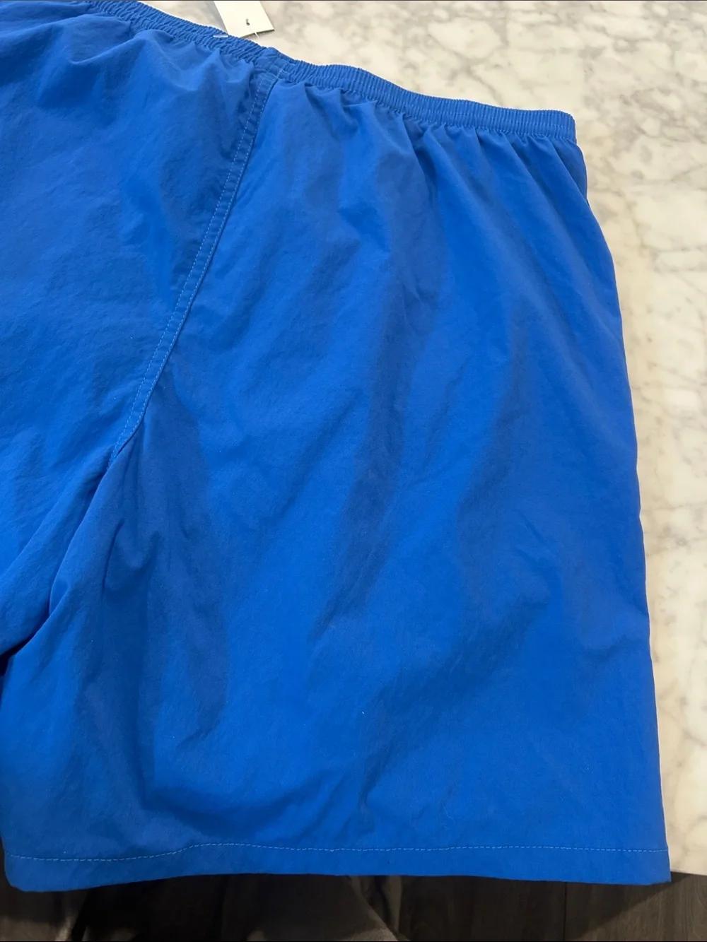 NWOT Patagonia Men's Baggies Longs Swim Trunks in Bright Blue Sz L